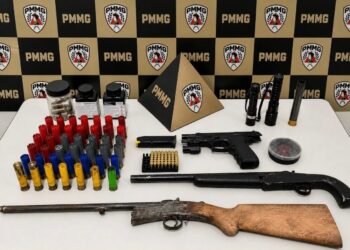 Homem é preso por violência doméstica e arsenal de armas é apreendido