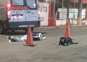 Cachorro permanece ao lado de tutor após atropelamento fatal em Alfenas