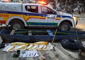 VÍDEO: Operação contra pesca predatória apreende 52 kg de dourado no Rio Grande