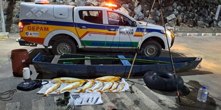 VÍDEO: Operação contra pesca predatória apreende 52 kg de dourado no Rio Grande