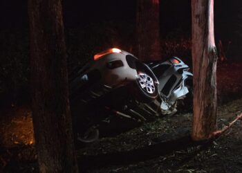Motorista morre após carro bater em árvore e cair em vala na MGC-369