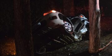 Motorista morre após carro bater em árvore e cair em vala na MGC-369