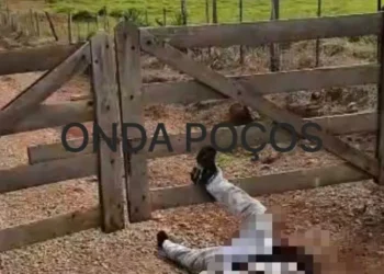 Homem é encontrado morto com sinais de violência no Sul de Minas
