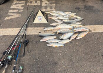 Dois homens são presos por pesca irregular no Rio Grande, no Sul de Minas