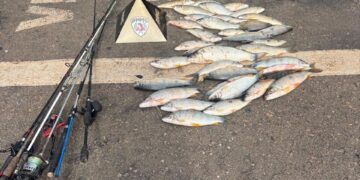 Dois homens são presos por pesca irregular no Rio Grande, no Sul de Minas