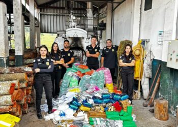 PCMG incinera mais de 100 quilos de drogas apreendidas no Sul de Minas