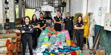 PCMG incinera mais de 100 quilos de drogas apreendidas no Sul de Minas