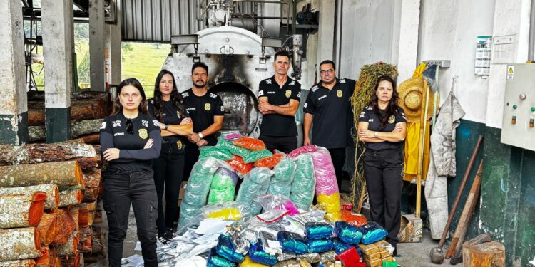 PCMG incinera mais de 100 quilos de drogas apreendidas no Sul de Minas