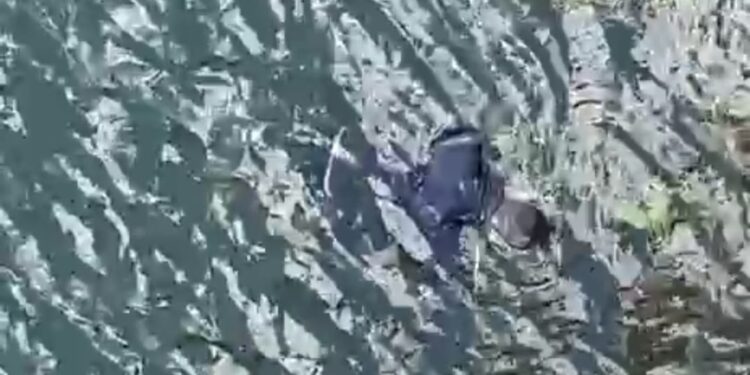 VÍDEO: Jovem é encontrado morto dentro da água na Ponte Torta em Carmo do Rio Claro