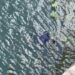 VÍDEO: Jovem é encontrado morto dentro da água na Ponte Torta em Carmo do Rio Claro