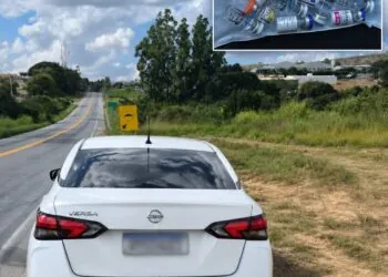 Receita Federal apreende anabolizantes em operação policial na MG-050