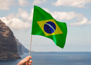 Brasil é o principal mercado da Cactus Gaming na região