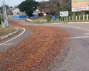 Café espalhado após queda de carga deixa trânsito perigoso em trecho da MGC-369 próximo a Alfenas