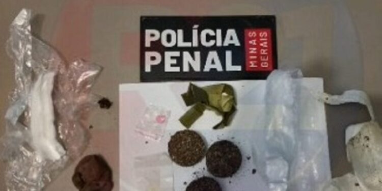 Mãe é presa ao tentar passar drogas escondidas nas partes íntimas para o filho em presídio no Sul de Minas