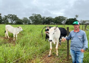 Agro + Verde recupera 3.300 hectares no oeste de Minas Gerais 
