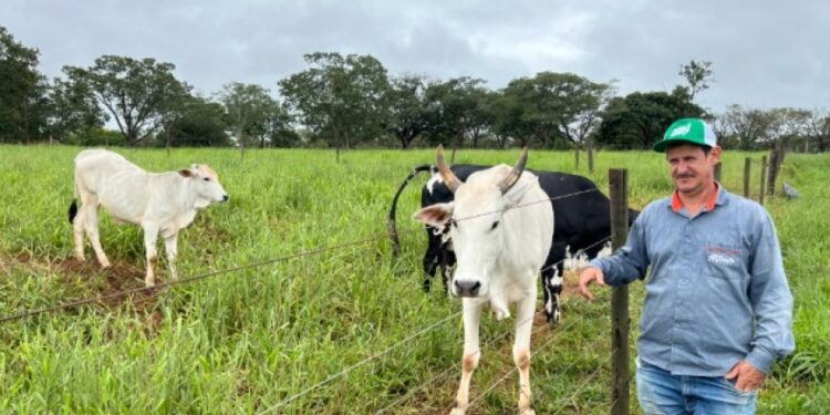 Agro + Verde recupera 3.300 hectares no oeste de Minas Gerais