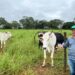 Agro + Verde recupera 3.300 hectares no oeste de Minas Gerais