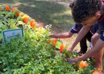 Agro na Escola une educação e prática no campo em Belo Oriente 