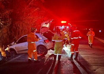 Motorista fica ferido após perder controle de carro ao desviar de animal na MGC-491