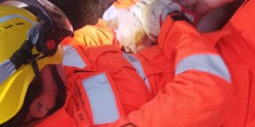 Ocorrências de salvamento animal mobilizam bombeiros em duas cidades do Sul de Minas