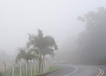 Neblina nas estradas: concessionária alerta para redução da visibilidade e risco de acidentes