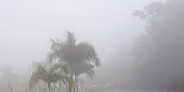 Neblina nas estradas: concessionária alerta para redução da visibilidade e risco de acidentes