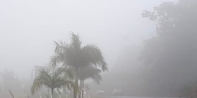 Neblina nas estradas: concessionária alerta para redução da visibilidade e risco de acidentes