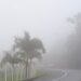 Neblina nas estradas: concessionária alerta para redução da visibilidade e risco de acidentes