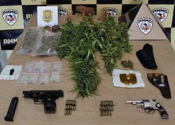 Advogado e esposa são conduzidos após apreensão de armas e cultivo de maconha em propriedade rural