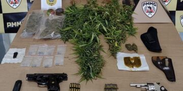 Advogado e esposa são conduzidos após apreensão de armas e cultivo de maconha em propriedade rural