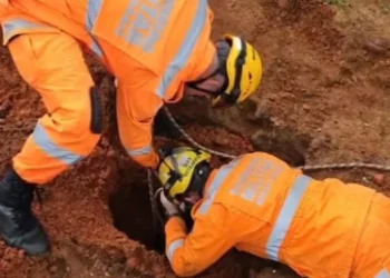 Bombeiros resgatam cão após queda em buraco de fundação de obra
