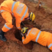 Bombeiros resgatam cão após queda em buraco de fundação de obra