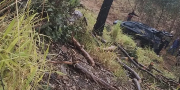 Trabalhador morre após ser atingido por galho durante corte de eucaliptos
