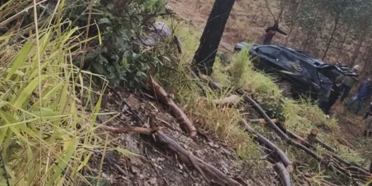 Trabalhador morre após ser atingido por galho durante corte de eucaliptos