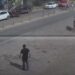 VÍDEO | Boi foge durante encontro de carreiros e provoca susto na BR-459 em Congonhal