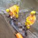 URGENTE: Corpo de homem é encontrado submerso em córrego em Passos