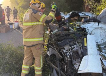 Motorista morre preso às ferragens após carreta tombar e atingir árvore na MG-290