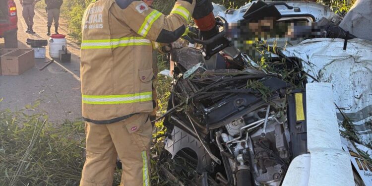Motorista morre preso às ferragens após carreta tombar e atingir árvore na MG-290