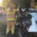 Motorista morre preso às ferragens após carreta tombar e atingir árvore na MG-290
