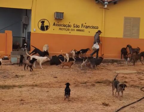 ASF | Frio aumenta risco de doenças respiratórias em humanos e alerta para cuidados com animais em Carmo do Rio Claro