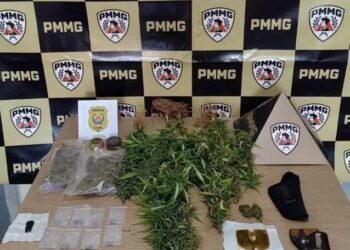 Polícia Civil apreende armas, drogas e pés de maconha durante operação em Cássia