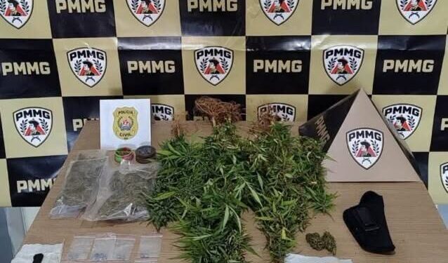 Polícia Civil apreende armas, drogas e pés de maconha durante operação em Cássia