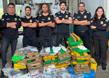 Mais de 150 quilos de drogas apreendidas em operações policiais são incinerados no Sul de Minas