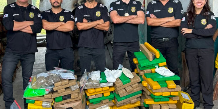 Mais de 150 quilos de drogas apreendidas em operações policiais são incinerados no Sul de Minas