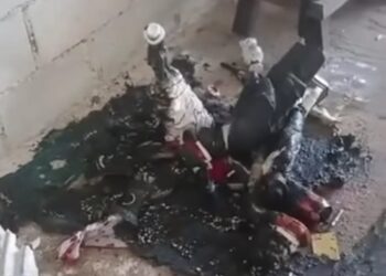 Terreiro de umbanda é invadido e tem imagens religiosas destruídas