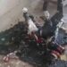 Terreiro de umbanda é invadido e tem imagens religiosas destruídas