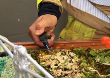 VÍDEO | Período de estiagem exige atenção redobrada para prevenção de incêndios em vegetação
