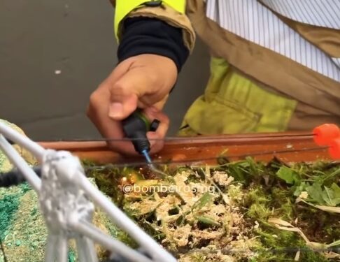 VÍDEO | Período de estiagem exige atenção redobrada para prevenção de incêndios em vegetação