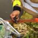 VÍDEO | Período de estiagem exige atenção redobrada para prevenção de incêndios em vegetação