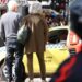 Filhos lideram violência contra idosos em JF